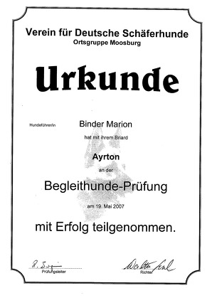 Ayrton BH Urkunde