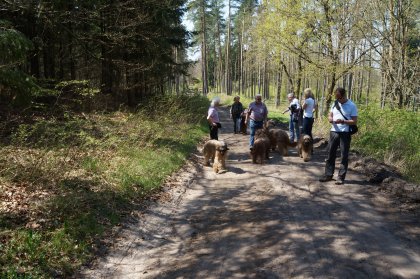 Eleanor Briardtreffen 03 - 05.05.2013 in Seweko 028