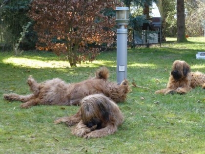 20150308143031 Lilith fühlt sich wohl